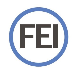 FEI logo